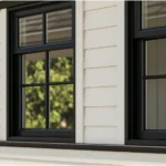 Black Windows: Pros, Cons, and Whether the Trend Is Here to Stay